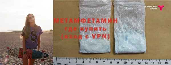 ГАЛЛЮЦИНОГЕННЫЕ ГРИБЫ Бородино