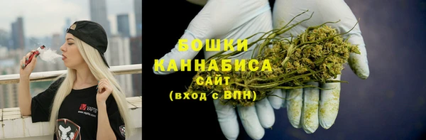 ГАЛЛЮЦИНОГЕННЫЕ ГРИБЫ Бородино