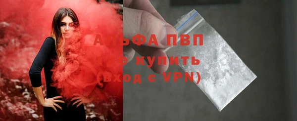 ГАЛЛЮЦИНОГЕННЫЕ ГРИБЫ Бородино