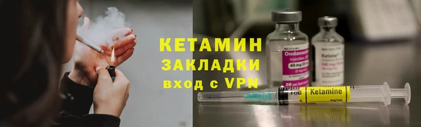 ГАЛЛЮЦИНОГЕННЫЕ ГРИБЫ Бородино