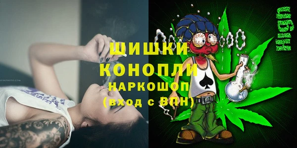 ГАЛЛЮЦИНОГЕННЫЕ ГРИБЫ Бородино