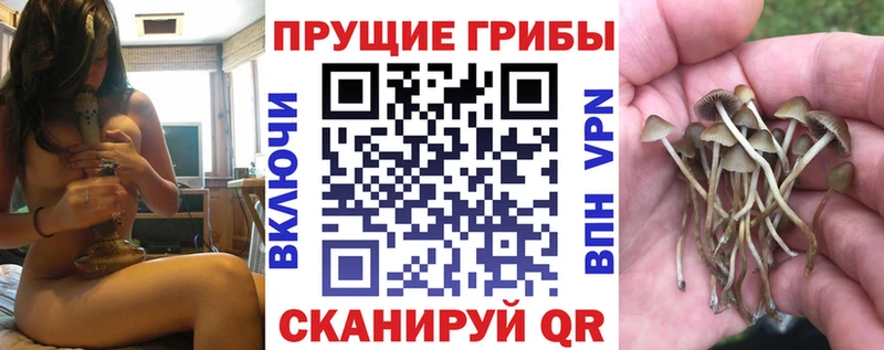 это состав  Городовиковск  Галлюциногенные грибы мицелий  наркошоп 